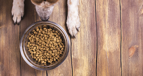 動(dòng)物飼料及獸藥行業(yè)